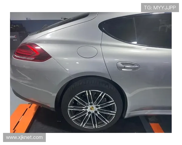 赖神自曝月收入有限 透露买保时捷需节俭生活与职业生涯压力